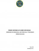 HOMICIDIOS EN COMAYAGUA, SAN PEDRO SULA Y TEGUCIGALPA PERÍODO 2010-2012