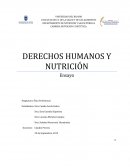 Ensayo sobre derechos humanos y nutricion