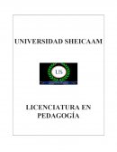 Licenciatura en Pedagogia LICENCIATURA EN PEDAGOGÍA ESTRUCTURA DEL PLAN DE ESTUDIOS