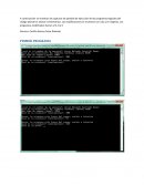 Capturas de pantalla de ejecución de los programas seguidos del código