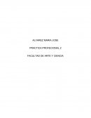PRACTICA PROFESIONAL 2 FACULTAD DE ARTE Y CIENCIA