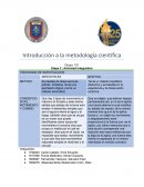 Introducción a la metodología científica - Actividad Integradora