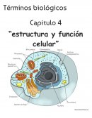 Términos biológicos “estructura y función celular”