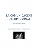 Ensayo comunicación interpersonal