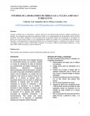 INFORME DE LABORATORIO DE HIDRAULICA: FLUJO LAMINAR Y TURBULENTO