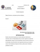 Tema: Elementos y compuestos químicos cotidianos