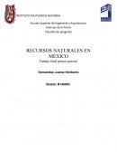 Estudios de posgrado RECURSOS NATURALES EN MÉXICO