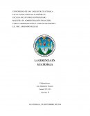 LA GERENCIA EN GUATEMALA- Objetivos de auditoría relacionados con operaciones.