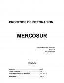 PROCESOS DE INTEGRACION MERCOSUR