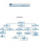 Primera Entrega Teoria de las Organizaciones Politecnico Grancolombiano