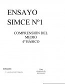 ENSAYO SIMCE Nº1 COMPRENSIÓN DEL MEDIO