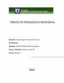 Proyecto pedagogico Integral.