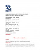 CENTRO DE BACHILLERATO TECNOLOGICO INDUSTRIAL Y DE SERVICIOS No52