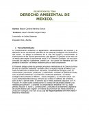 DERECHO AMBIENTAL DE MEXICO.