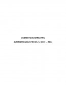 ‘‘ASISTENTE DE MARKETING SUMINISTROS ELÉCTRICOS, S. DE R. L. (SEL) ’’