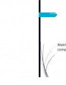 Matriz del perfil competitivo (MPC) Refaccionaria Mario García (Rmg)