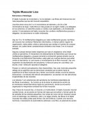 Tejido Muscular Liso - Estructura e Histología