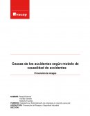 Causas de los accidentes según modelo de causalidad de accidentes Prevención de riesgos