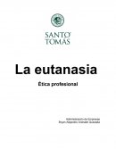 La eutanasia. Ética profesional