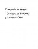 Conceptos de clase, raza y etnicidad en Chile