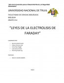 “LEYES DE LA ELECTROLISIS DE FARADAY”