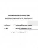 PROCEDIMIENTOS Y PRÁCTICA PROCESAL PENAL PRINCIPIOS CONSTITUCIONALES DEL PROCESO PENAL
