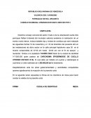 Tema- CONSEJO NCOMUNAL URBANIZACION SANTA INES SECTOR 3