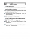 Diseño Organizacional Actividad Cuestionario