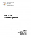 Ley 19.650 “Ley de Urgencias” Docente del programa: Tamara Fernández Gago