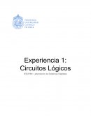 Informe Experiencia 1 Laboratorio Sistemas Digitales: Circuitos Lógicos