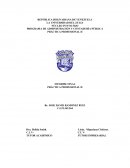 Informe PROGRAMA DE ADMINISTRACIÓN Y CONTADURÍA PÚBLICA