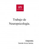 Neuropsicologia ( psicodiagnostico basico)