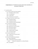 Trabajo Práctico n° 1: “El desafío de las ciencias sociales: desde el naturalismo a la hermenéutica” Rubén Pardo.