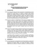 PROYECCIÓN GEOPOLÍTICA DE BOLIVIA CON LA EXPORTACIÓN DE LITIO