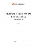PLAN DE ATENCION DE ENFERMERIA - SALUD MENTAL