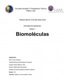 Actividad de Aplicacion Etapa 1 Biomoléculas