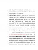 JUICIO ORAL DE FIJACION DE PENSION ALIMENTICIA.NUEVO