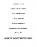 IMPORTANCIA DE LA LEGISLACION DE RECURSOS NATURALES A TRAVES DEL DERECHO ECONOMICO.