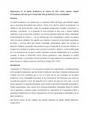 Importancia de los patios productivos de rubros de ciclo cortos, cilantro español (Coriandrum sativum), para el desarrollo socio productivos en las comunidades.