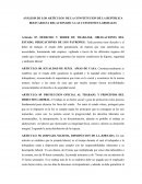 ANÁLISIS DE LOS ARTÍCULOS DE LA CONSTITUCION DE LA REPÚBLICA BOLIVARIANA RELACIONADO A LAS CUESTIONES LABORALES
