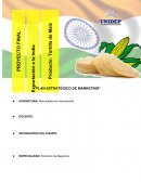 Plan estratégico del marketing Tortillas de maíz