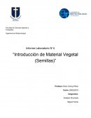 Informe Laboratorio N°4 “Introducción de Material Vegetal (Semillas)”