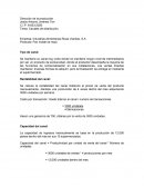 Direccion de la produccion, empresa Industrias Alimenticias Ricas Viandas. S.A