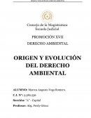 ORIGEN Y EVOLUCIÓN DEL DERECHO AMBIENTAL