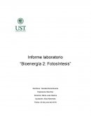 Informe laboratorio “Bioenergía 2: Fotosíntesis”
