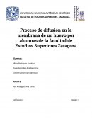 Proceso de difusión en la membrana de un huevo por alumnas de la facultad de Estudios Superiores Zaragoza