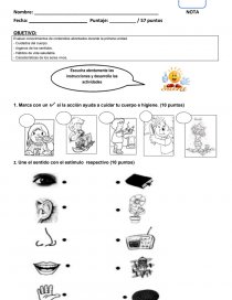 Prueba De Ciencias Naturales Seres Vivos Primero Basico Infoupdate Org