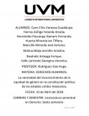 La necesidad del reconocimiento de la equidad de género en la constitución política de los estados unidos mexicanos.
