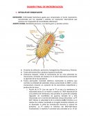 EXAMEN FINAL DE MICROBIOLOGÍA