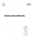 Informe visita a Mall Zofri
